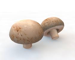 Mushrooms Button 3d Model In 2020 Stuffed Mushrooms 3d Model Low Poly 3d Models