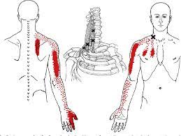 Everything You Need to Know About Trigger Point Therapy Massage -  Alternative Therapy Center Massage Therapist