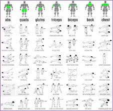 4 bodybuilding exercises chart for men work out picture