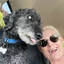 Hi you lovely people can I ask how long you left your pups