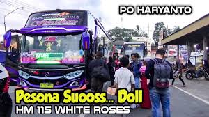 Inilah 5 keunggulan dari po haryanto dibandingkan po lain nya. Gerobag Nipon Youtube Channel Analytics And Report Powered By Noxinfluencer Mobile