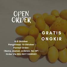 Template menu makanan ini dapat menarik setiap pemilik restoran jenis apa saja, mengutamakan disain kreatif multiguna. Facebook