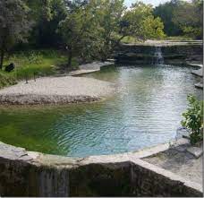 186 Best Images About Spring Fed Natural Pool Swimming Pools Swimming Pond