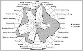 composite radar chart of median item scores on admission and