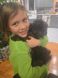 4J Family Puppies added a new photo.