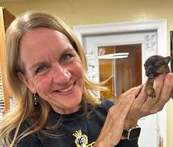 Scrim, New Orleans' famed canine escape artist, is finally captured