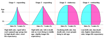 Dtm Pyramids Demographic Transition Wikipedia