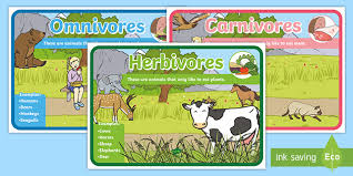In latin, omnivore means to eat everything. Herbivores Omnivores And Carnivores Posters Ages 3 7