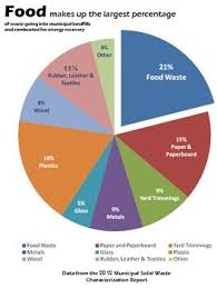 Waste Not Want Not How Reducing Food Waste Can Help