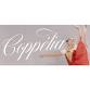 Coppélia Ballet with Ballet Arts event image