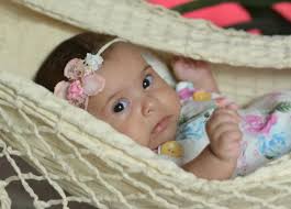 Mimos Foto e Carinho