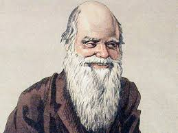 Why “Natural Selection” Became Darwin's Fittest Metaphor