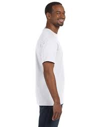 Hanes 5250 Tagless T Shirt
