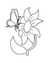 Ausmalbilder Blumen Bild Schmetterling Auf Eine Grosse Blume