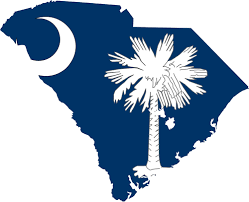 Loveeee South Carolina Tattoo South Carolina Flag South Carolina