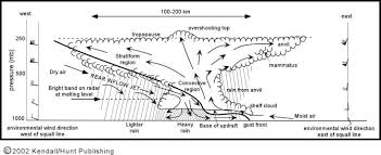 (meteorology) a line of thunderstorms, hundreds of miles long, with squalls at the advancing edge. Thunderstorms