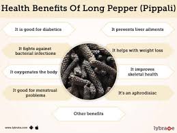 long pepper pippali benefits and its