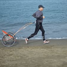 Https Encrypted Tbn0 Gstatic Com Images Q Tbn 3aand9gcseo F Xpk0g7ry6gnmoxzascnpioekjrdvpg Usqp Cau