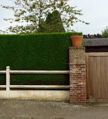 Check out our privacy plants selection for the very best in unique or custom, handmade pieces from our curtains & window treatments shops. Fences For Privacy 9 Great Ideas For Garden Screening The Middle Sized Garden Gardening Blog