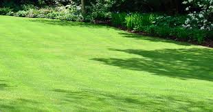 Come join the fun us as we talk garden ideas, grass care. How To Seed Grow Grass Love The Garden