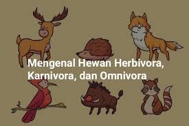 Vorare = melahap) adalah spesies yang templat:me tumbuhan dan. Mengenal Hewan Herbivora Karnivora Dan Omnivora Belajar Mandiri Yuk