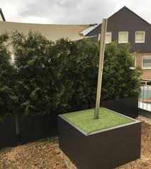 Sonnensegel In 2020 Sonnensegel Segel Sonne