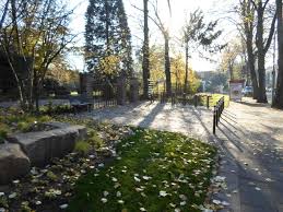 Duisburg Grun Grune Oasen Botanischer Garten Duissern
