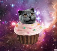 Best Cat Birthday Meme Gif Gifs Gfycat