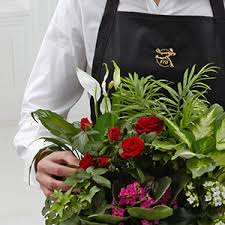 Best basket approximately 16h x 20w. The Ladybug Floral Gifts Ftd Florist Designed Blooming And Green Plants In A Basket Berlin Wi 54923 Ftd Florist Flower And Gift Delivery
