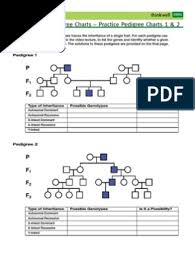 Pedigree analysis by manyam kanaka valli 35563 views. Practice Pedigree Chart Dominance Genetics Heredity