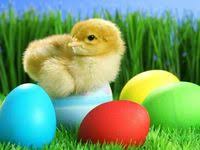 что нужно делать в чистый четверг чтобы деньги водились Tri Obryada Kotorye Nuzhno Obyazatelno Provesti Na Pashu Zagovor Na Bogatstvo Molitva Na Zdorove Youtube V 2020 G Molitvy Pasha Semejnye Citaty