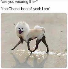 Are you high right now meme. High Fashion So Hot Right Now Memes