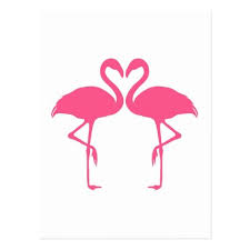 Carte Postale Coeur De Flamant Rose Deux Flamants Roses Dans Zazzle Fr Flamant Rose Flamant Et Flammant Rose