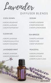 Find Out What Are The Top 7 Lavender Oil Benefits On Your Health Lavender Essential Oil Uses Essential Oil Diffuser Blends Recipes Essential Oil Blends Recipes