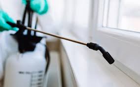 Might your company stockroom be rife with unwelcome mice? Top Reasons To Opt For Regular Pest Control Services Bug Off Pest Control