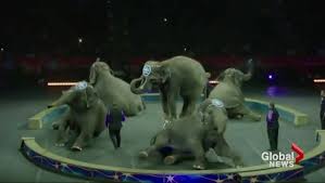 Ringling Bros Circus To Close After 146 Years National