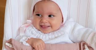 Vestiduras rectangular a escoger y completas archivos