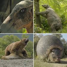 Image result for Dyschoriste transvaalensis