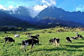 Tempat menarik untuk melawat dan melancong di semenanjung malaysia. Tak Perlu Terbang Jauh Jauh Ini 9 Tempat Menarik Di Malaysia Untuk Fefeeling Overseas