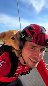 Woody: Not Just a Dog