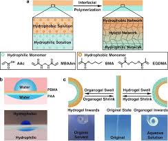 Google has many special features to help you find exactly what you're looking for. A Monolithic Hydro Organo Macro Copolymer Actuator Synthesized Via Interfacial Copolymerization Npg Asia Materials