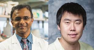 Upcoming Events Monthly Profiles Happenings at IGB Image Of The Month  Research News Department Announcements