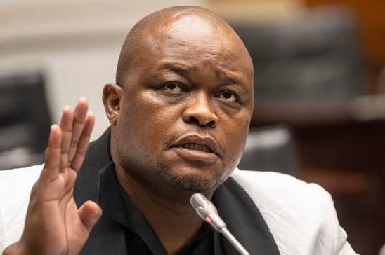 Madlanga inquiry orders review of Brown Mogotsi's 'useless' sick note