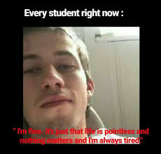 Pin By Freestyle On Alan Walker Alan Walker Alan Meme Walker