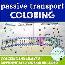 Cell Transport Passive Transport Coloring In 2021 Passive Transport Cell Transport Cell Transport Activity