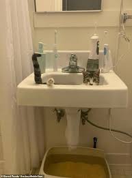 Financing is available and panda kitchen and bath wholesales to builders, contractors, developers and condo associations. Sc1n Sqkt3ywrm