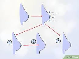 Sie besteht aus der eigentlichen. Eingezogene Brustwarzen Loswerden Wikihow