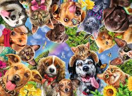 We did not find results for: Ravensburger Animal Selfies 500pc Jigsaw Puzzle Adult Puzzles Puzzles Products Uk Ravensburger Animal Selfies 500pc Jigsaw Puzzle