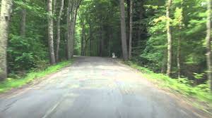 Find chenango valley state park camping, campsites, cabins, and other lodging options. Chenango Valley State Park Tour Part 1 3 Youtube