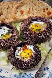 Oursins Aux Oeufs De Caille Oeufs De Caille Recettes De Cuisine Cuisine Antillaise